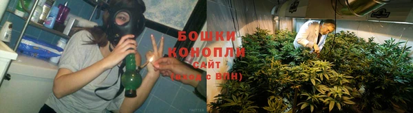 мдпв Семилуки