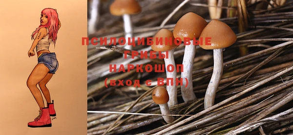 мдпв Семилуки