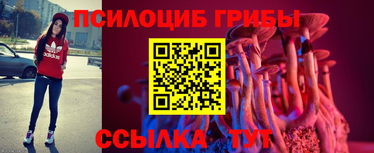 Галлюциногенные грибы Psilocybine cubensis  Саратов  Псилоцибиновые грибы MAGIC MUSHROOMS 